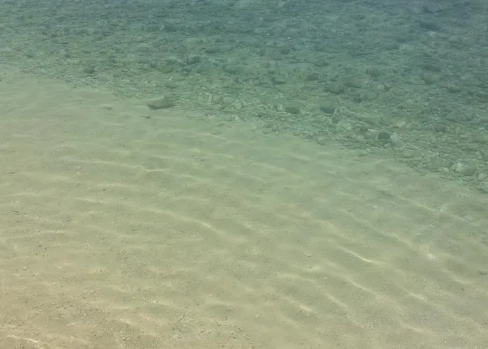 리조트 Garden Beach 2*